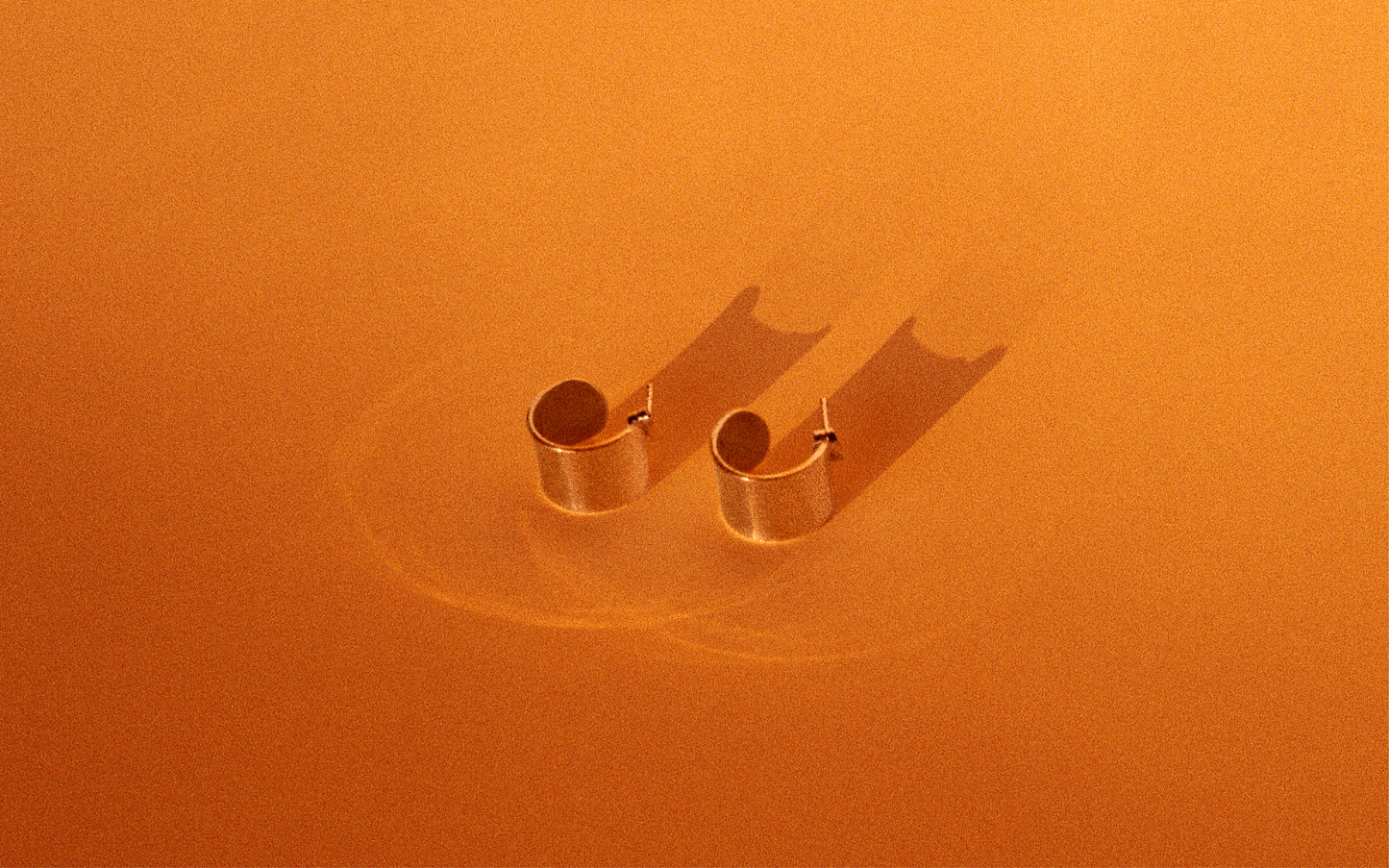 Arc Earrings I